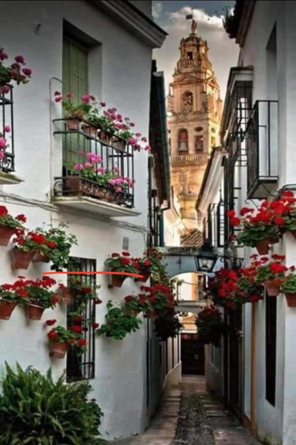 Apartamento La Magdalena Cordova Esterno foto